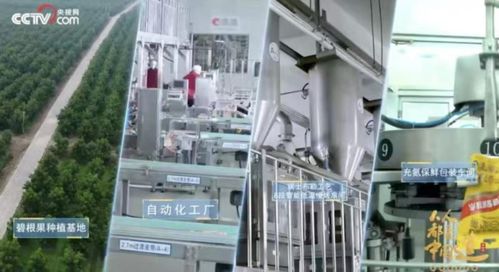 洽洽20年 一把堅果背后的匠心與堅守，與網(wǎng)絡(luò)科技領(lǐng)域技術(shù)開發(fā)的跨界啟示